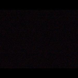 Meet your Posher, Sonya